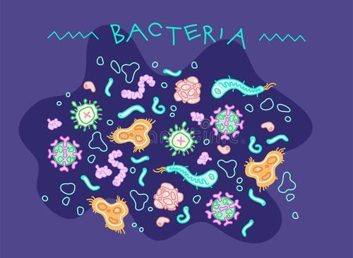 “细菌隐身术”给细菌穿上“迷彩服”