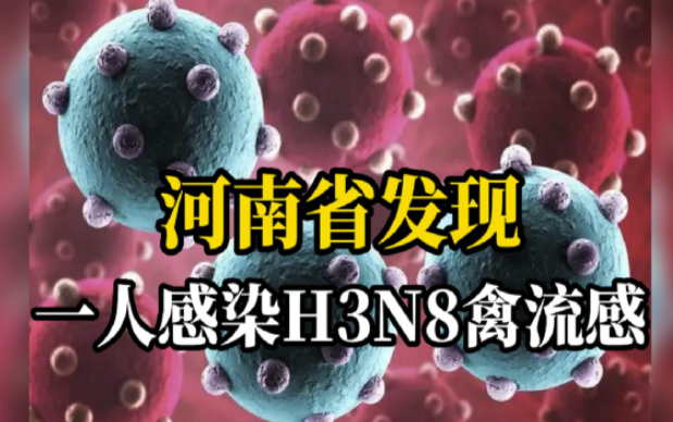 H3N8禽流感能传人意味着什么 H3N8禽流感怎么预防