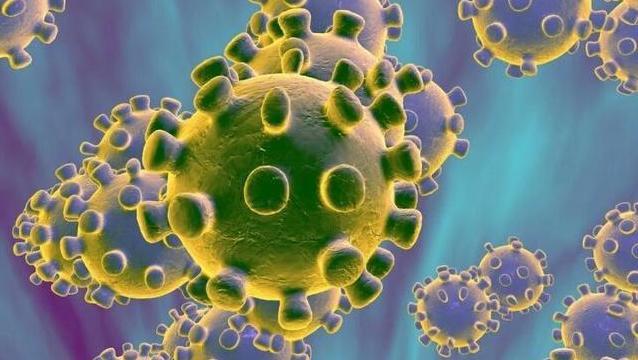 肿瘤患者等免疫力薄弱人群是否更易感染新冠病毒？