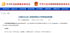 云南省文山州人民医院原院长卢京接受监察调查