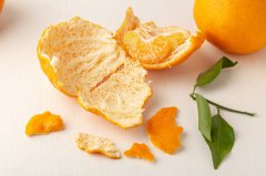 注意！橘子皮不是陈皮！用橘皮泡水，当心给身体带来伤害