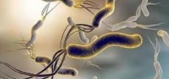 幽门螺杆菌有什么危害？